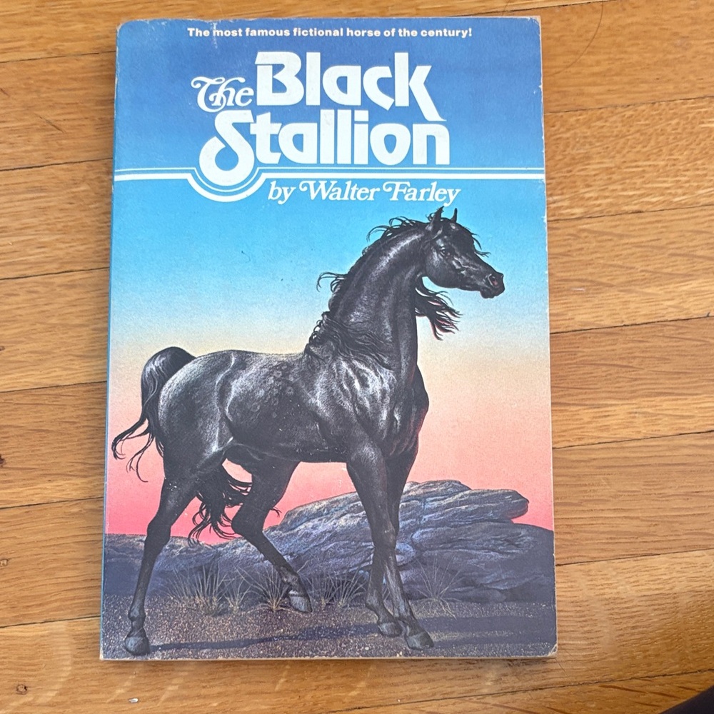 The Black Stallion book